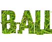 Beautiful fonts with different PNG backgrounds