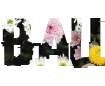 Beautiful fonts with different PNG backgrounds