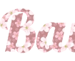Create a beautiful inscription with a sakura flower background - Lobster font PNG