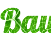 Online text constructor - create your own text with a green leaf background - Font Lobster