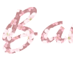 Online Sakura Blossom Text Generator with Romantic Background