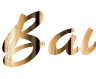 Create an impressive caption online with a bamboo background