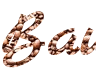 Create a unique PNG inscription in coffee bean style using the font